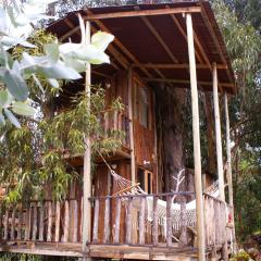 Cabin Eucalipto at blueberry Farm