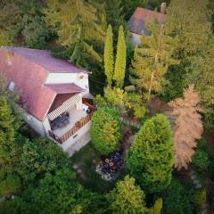 Égig Érő Fa Vendégház