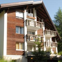 Charming and cosy apartment (sleeps 4-6 people) in a beautiful mountain village