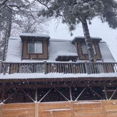 Blissfully Wild -with Hot Tub and pets are welcome