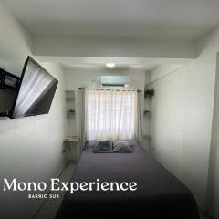 Mono Experience in SMDT- near CASA HISTORICA