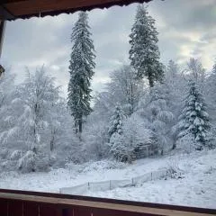 Apartament Marcus 1 Poiana Brasov