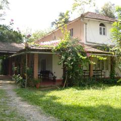 The Thota Mane - Private Villa in Coffee Estate
