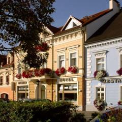 Hotel Restaurant Modrá Hvězda
