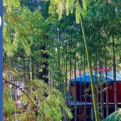 La Yourte aux Bambous en Cévennes