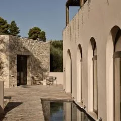 Pierros Verde