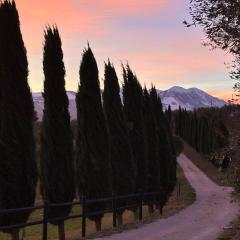 Agriturismo La Masseria - La casa tra gli alberi