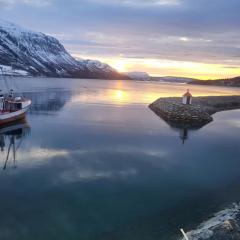 Arctic Sealodge Malangen cabin 4 Sæterbergan