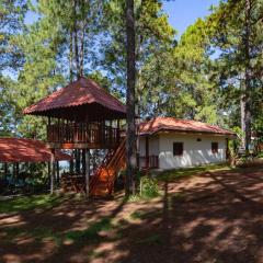 Cabañas y Mirador El Pericón