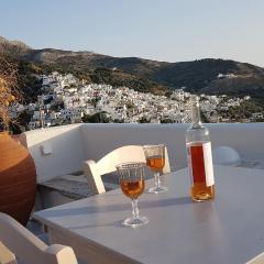 1875 panoramic stone house