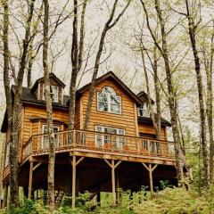 Treehouse in Maine woods- The Grand Oak