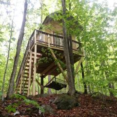 Maine Woods Treehouse-The Birdie
