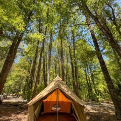 Casa del Árbol - Camping