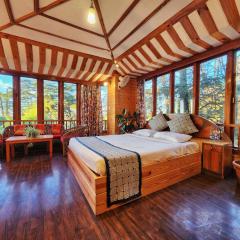 Hotel Pineview Shimla