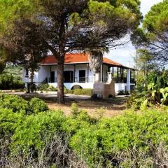 The Sisters Beach House