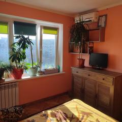 One room in apartment in the park center area of Chisinau