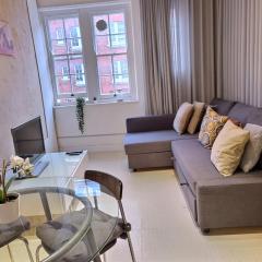 1 bedroom flat near Russel Square