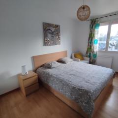 Chambre 2 personnes proche Nantes et Clisson