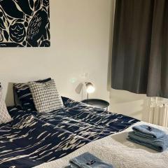 Wonderful arctic city apartment