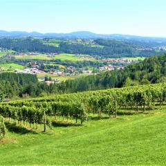 Genuss Appartement am Familien Weingut