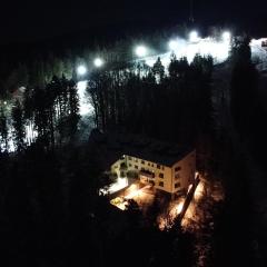 Forest View Apartment