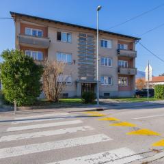 Lovely Flat Tolmin - Happy Rentals