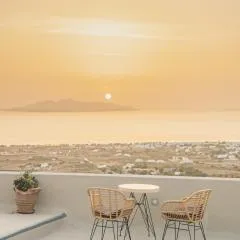 Nano Suites