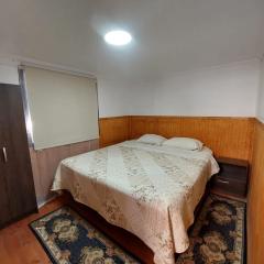 Departamento interior 2 Villarrica Céntrico