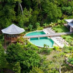 Amazing 6 BR Ocen View Villa in Marigot Bay