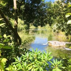 Résidence Cap Vert - Beau T2 front de mer dans domaine avec piscine et tennis MAE-4314