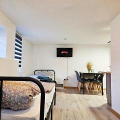 Apartment in Vaihingen an der Enz - Ensingen