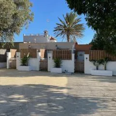 Estudios Eucalyptal El Palmar a 100 m del mar