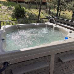 Lazy Bear and CubHouse: 5 Bedroom Beauty with Room for the Whole Crew!!