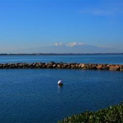 Maison Port Barcarès, 4 pièces, 8 personnes - FR-1-431-45