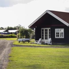 Holiday Home Natuurlijk de Veenhoop by Interhome