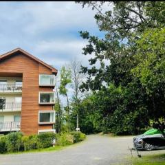 Depto estudio ubicado en Condominio Pucon Andino