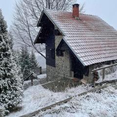 Planinska kuća Savić, Kopaonik