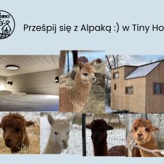 Prześpij się z Alpaką w Tiny House