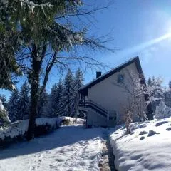 Studio apartman Singer