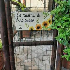 La Casina di Ancicucco 2