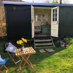 shepherd hut glamping in Northumberland