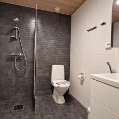 Cozy Apartment near Aura river