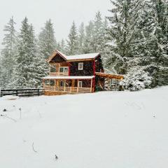 Cosy wooden house in the heart of Apuseni.