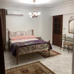 Luxury Apartment’s in Alexandria, Saba Basha