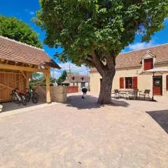 Longère Berrichonne rénovée, proche golf et base nautique, jardin clos, équipements sportifs à 100 m - FR-1-591-362