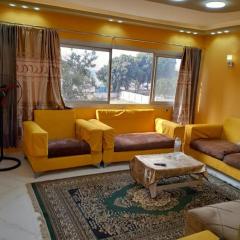 2-rooms apartment in Maadi !