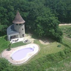Secluded Vineyard Windmill