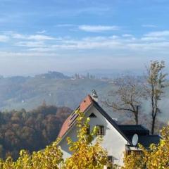 Weingartenhaus am Eckberg