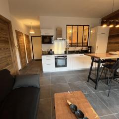 Châtel: Appartement neuf 4 pers, terrasse, parking, local à skis, wifi, ménage inclus - FR-1-198-261