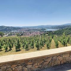 Condrieu, le Châtillon au cœur du vignoble belle vue sur vallée du Rhône